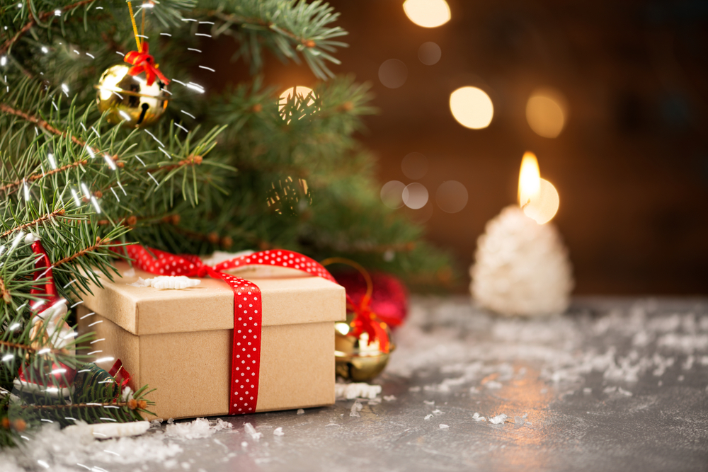 Offrez une expérience inoubliable pour Noël avec nos Bons Cadeaux !