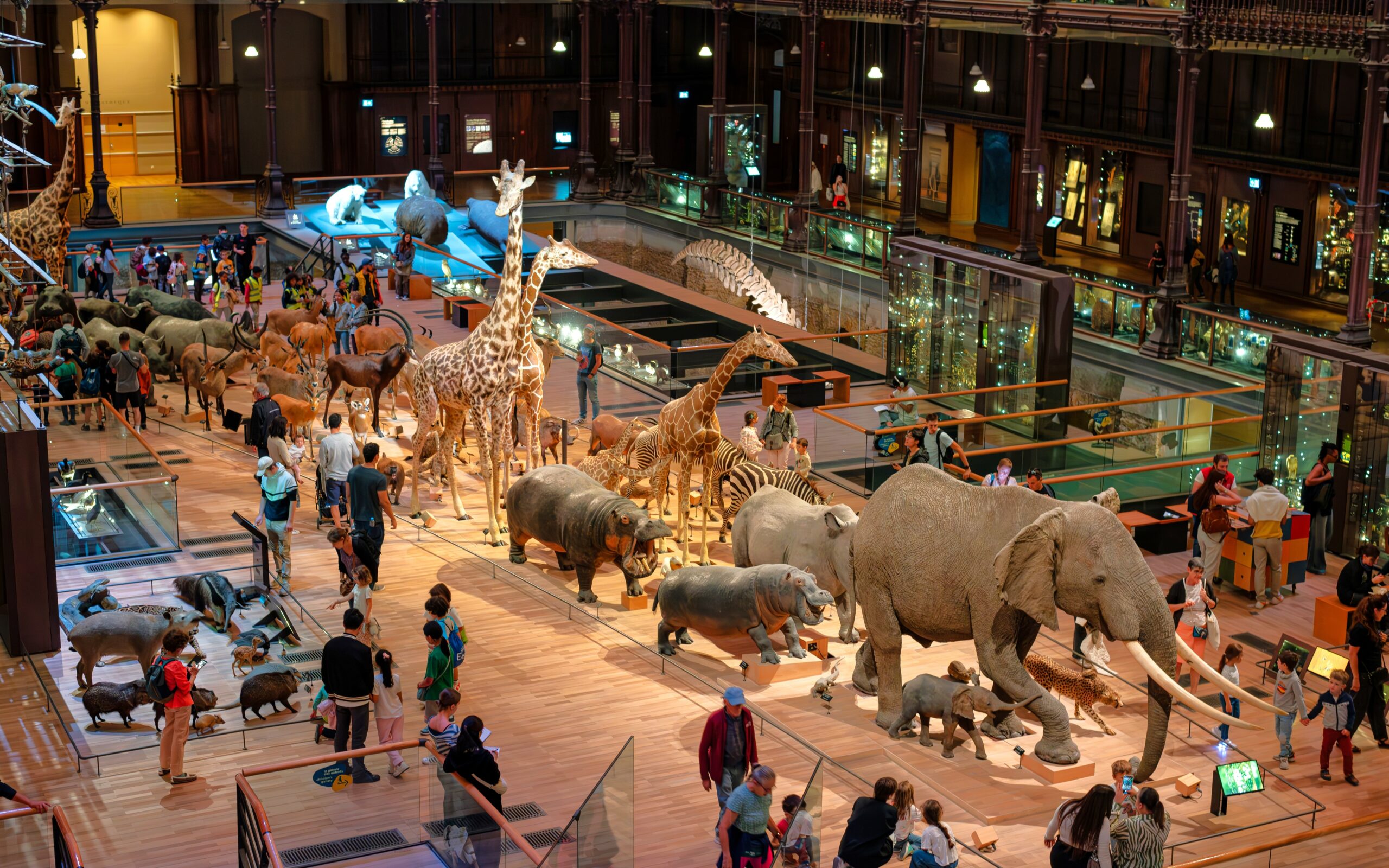 Voyage extraordinaire à la Galerie de l&rsquo;Évolution