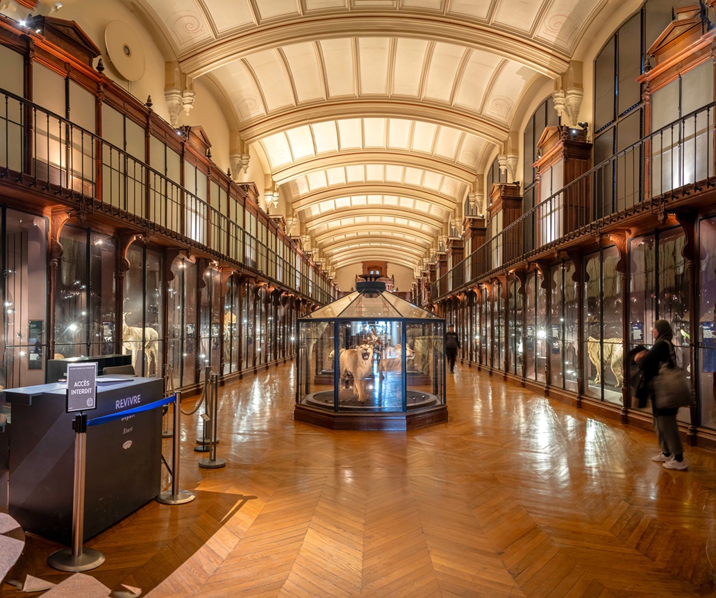 Visite Grande Galerie Evolution